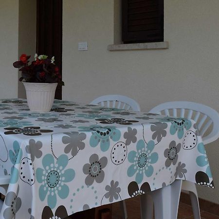 Guesthouse Marko Musalez Exteriér fotografie