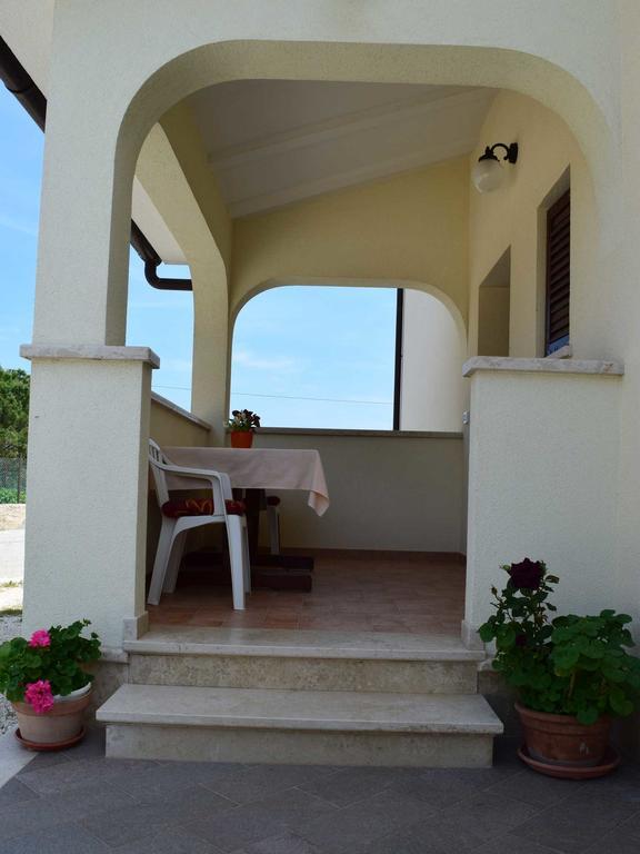 Guesthouse Marko Musalez Exteriér fotografie